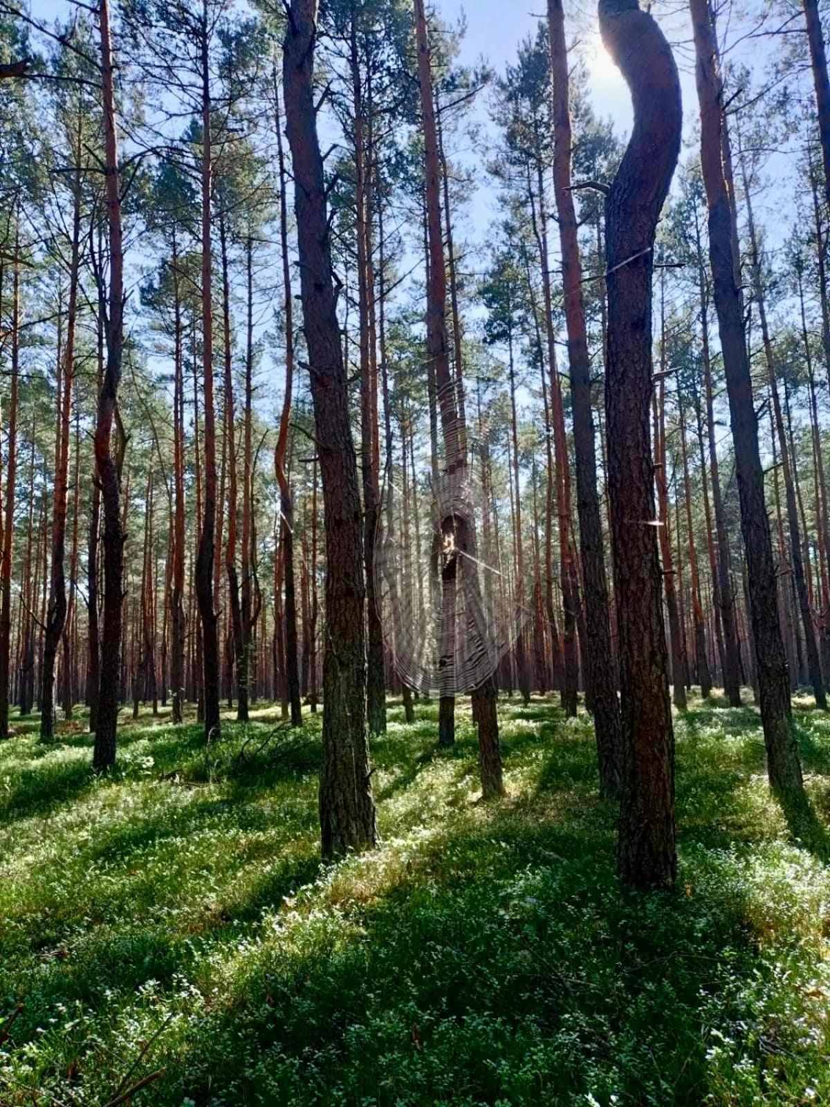 RzadzaLesniczowka别墅 外观 照片