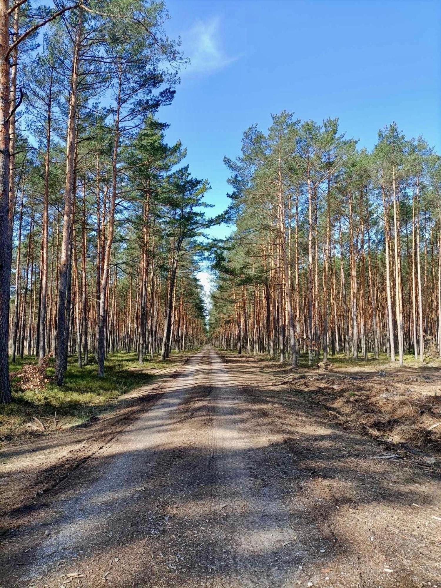 RzadzaLesniczowka别墅 外观 照片