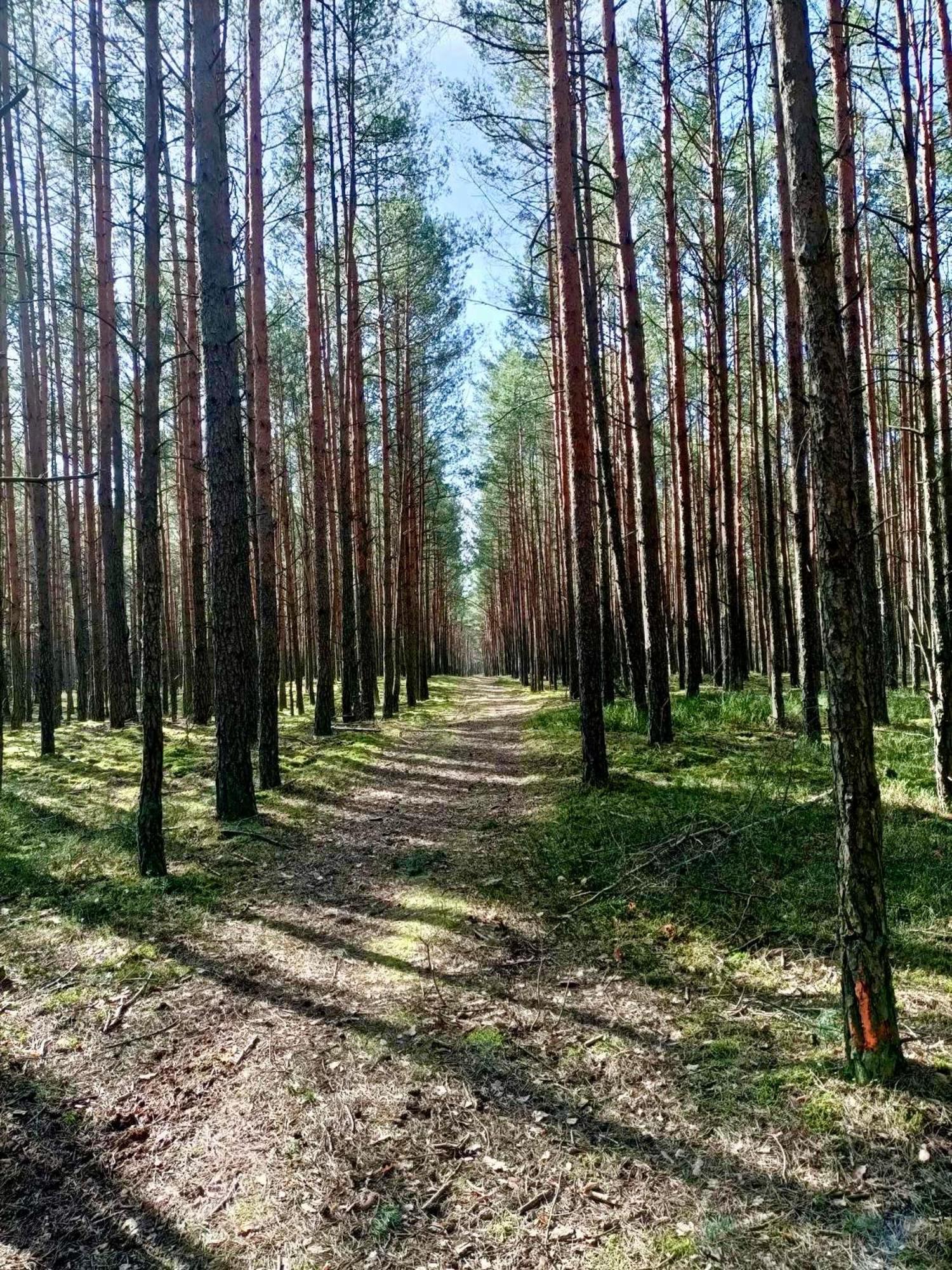 RzadzaLesniczowka别墅 外观 照片
